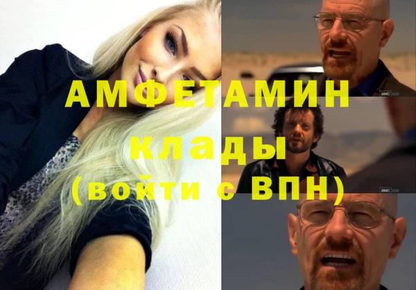 крисы Липки